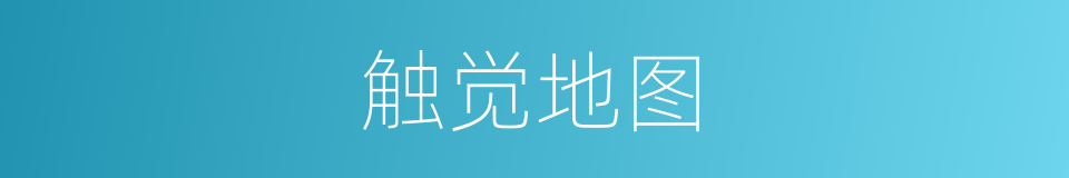 触觉地图的同义词