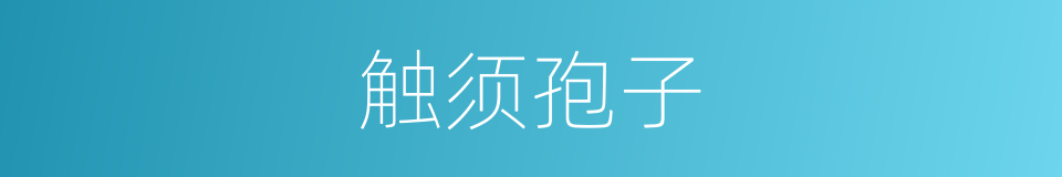 触须孢子的同义词