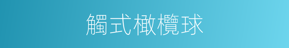 觸式橄欖球的同義詞