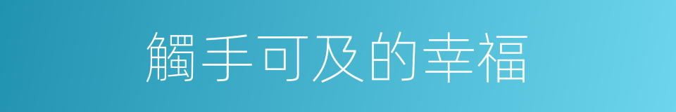 觸手可及的幸福的同義詞