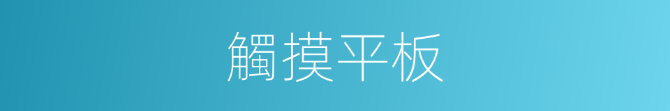 觸摸平板的同義詞