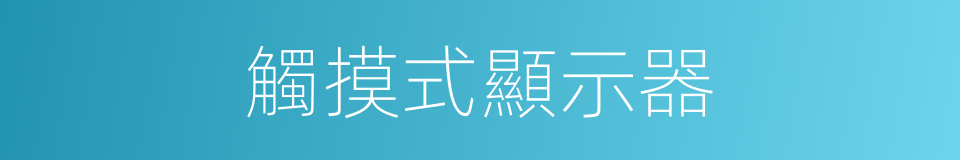 觸摸式顯示器的同義詞