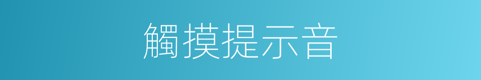 觸摸提示音的同義詞