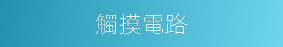 觸摸電路的同義詞