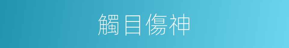 觸目傷神的意思