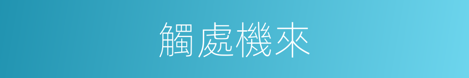 觸處機來的同義詞