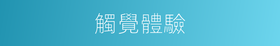觸覺體驗的同義詞