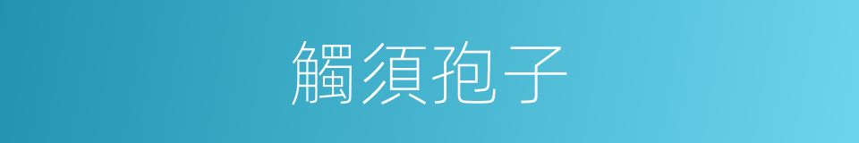 觸須孢子的同義詞