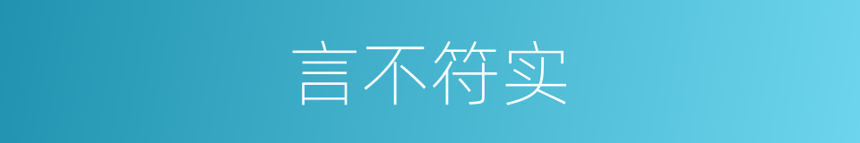 言不符实的同义词