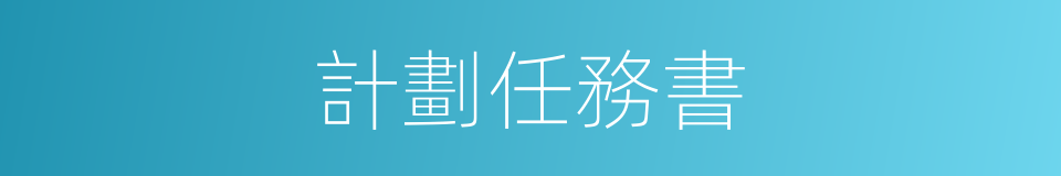 計劃任務書的同義詞