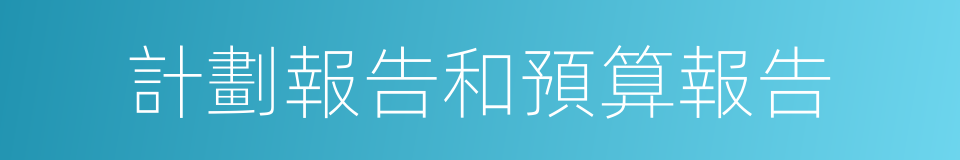 計劃報告和預算報告的同義詞