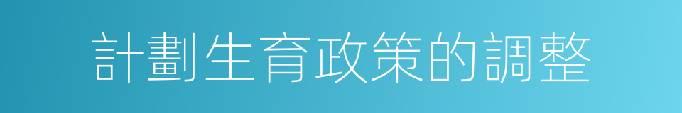 計劃生育政策的調整的同義詞