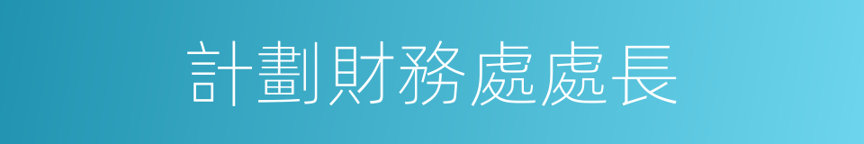 計劃財務處處長的同義詞