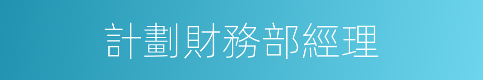 計劃財務部經理的同義詞