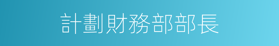 計劃財務部部長的同義詞