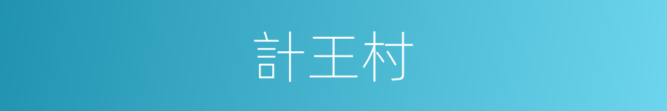 計王村的同義詞