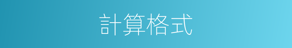 計算格式的同義詞