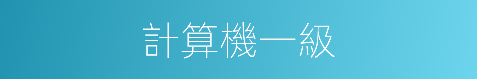 計算機一級的同義詞