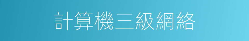 計算機三級網絡的同義詞