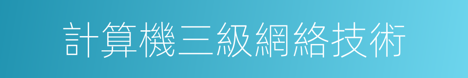 計算機三級網絡技術的同義詞