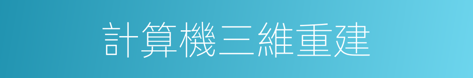 計算機三維重建的同義詞