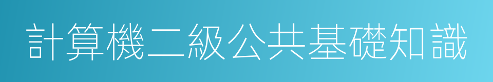 計算機二級公共基礎知識的同義詞