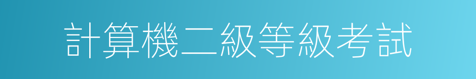 計算機二級等級考試的同義詞