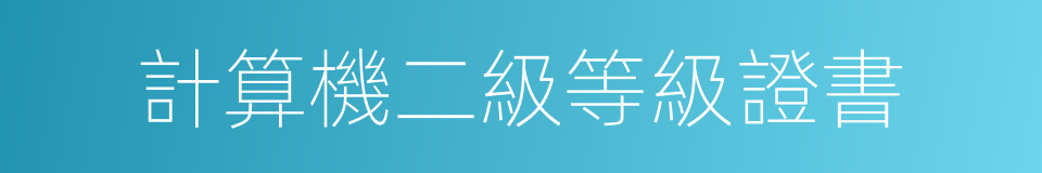 計算機二級等級證書的同義詞