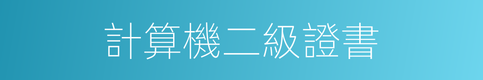 計算機二級證書的同義詞