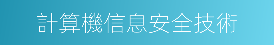 計算機信息安全技術的同義詞