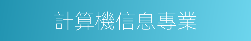 計算機信息專業的同義詞