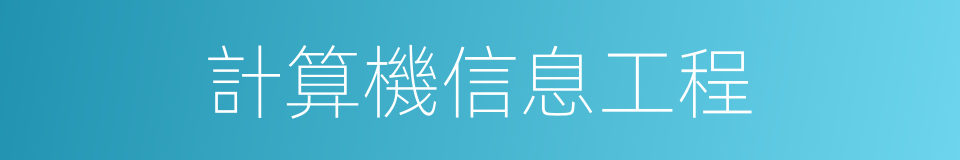 計算機信息工程的同義詞