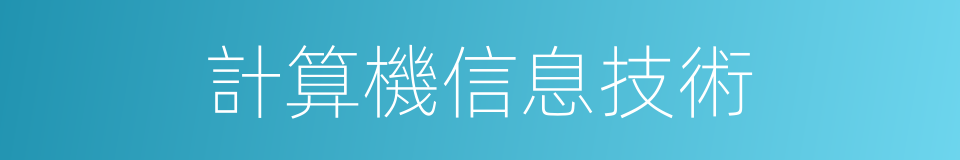 計算機信息技術的同義詞