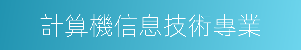 計算機信息技術專業的同義詞