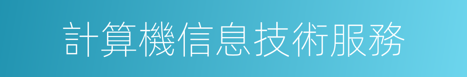 計算機信息技術服務的同義詞