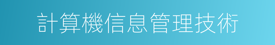 計算機信息管理技術的同義詞