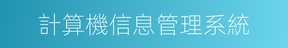 計算機信息管理系統的同義詞