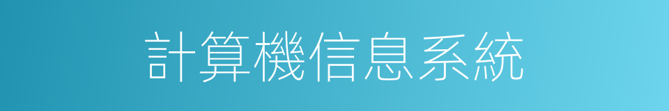 計算機信息系統的同義詞