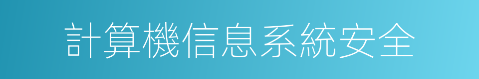 計算機信息系統安全的同義詞