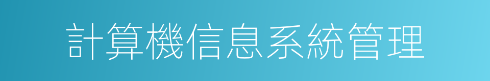 計算機信息系統管理的同義詞