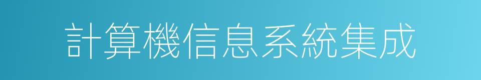 計算機信息系統集成的同義詞