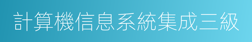 計算機信息系統集成三級的同義詞