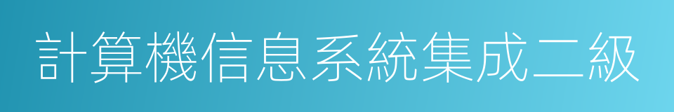 計算機信息系統集成二級的同義詞