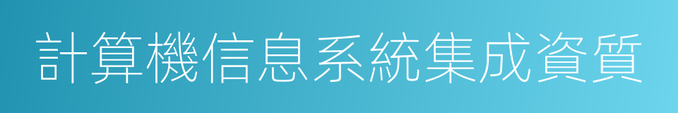 計算機信息系統集成資質的同義詞