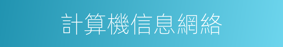 計算機信息網絡的同義詞
