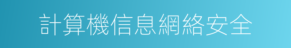 計算機信息網絡安全的同義詞