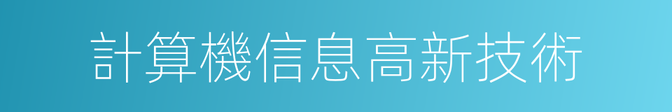 計算機信息高新技術的同義詞