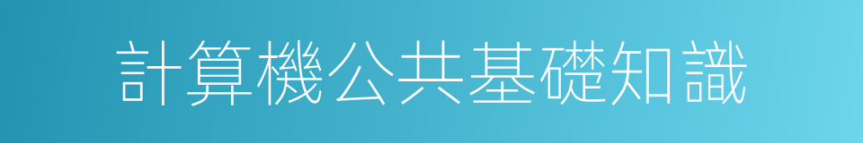 計算機公共基礎知識的同義詞