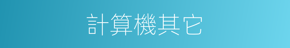 計算機其它的同義詞