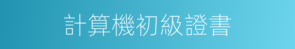 計算機初級證書的同義詞